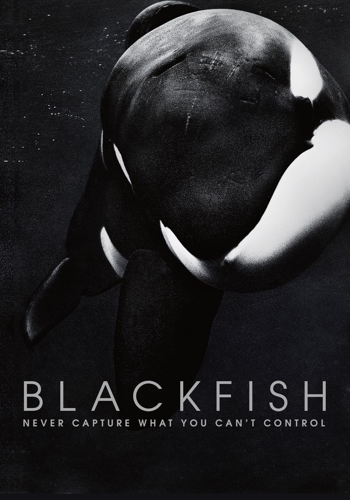 Blackfish streaming where to watch movie online?